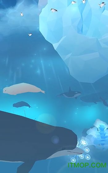 Abyssrium Pole深海水族馆极地隐藏鱼解锁版