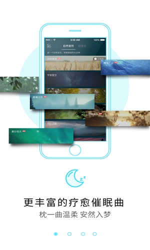 海豚睡眠