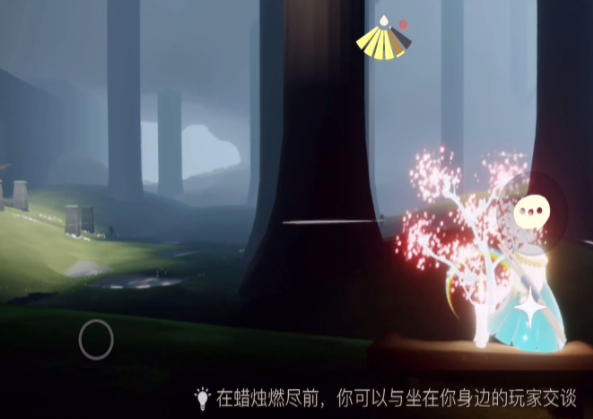 光遇在哪完成雨林赏花