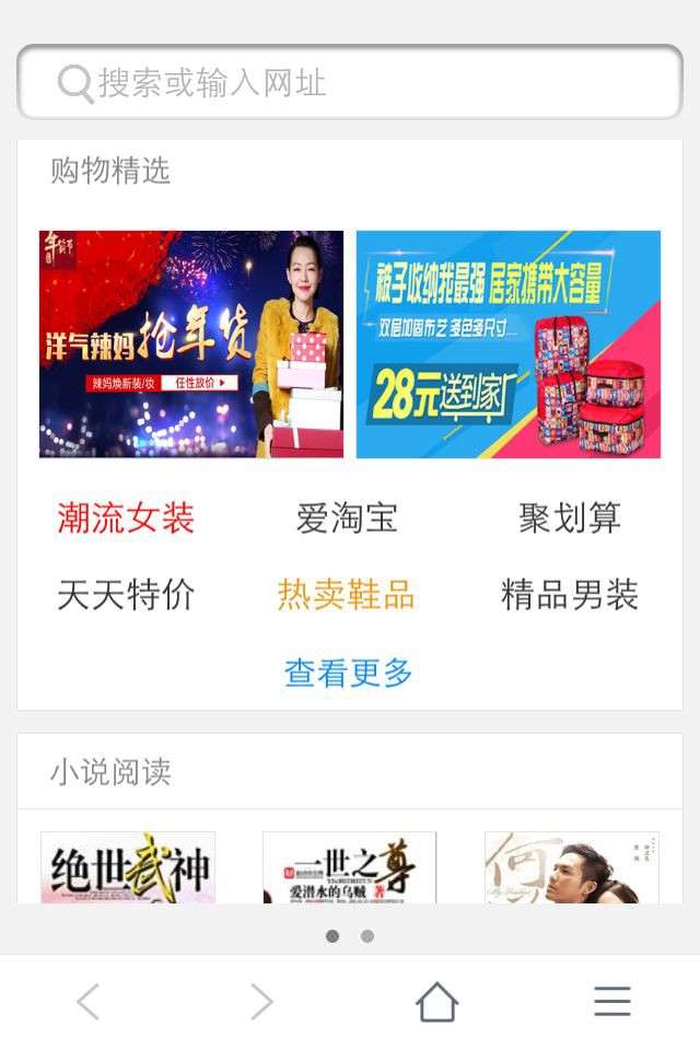 天玩浏览器