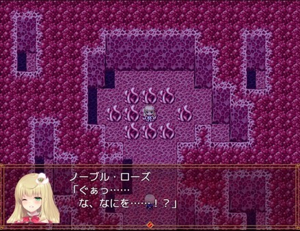 魔法少女诺布尔劳斯