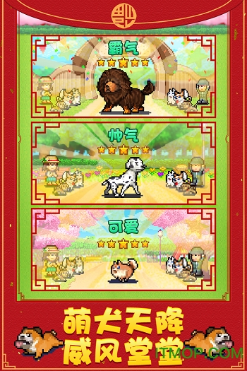 发现狗狗乐园