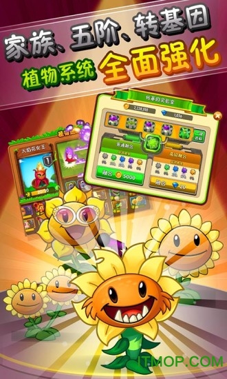 PVZ FCE植物大战僵尸完全汉化版