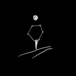 晨风起最新版