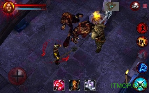 恶魔地牢最新版(D Dungeons)